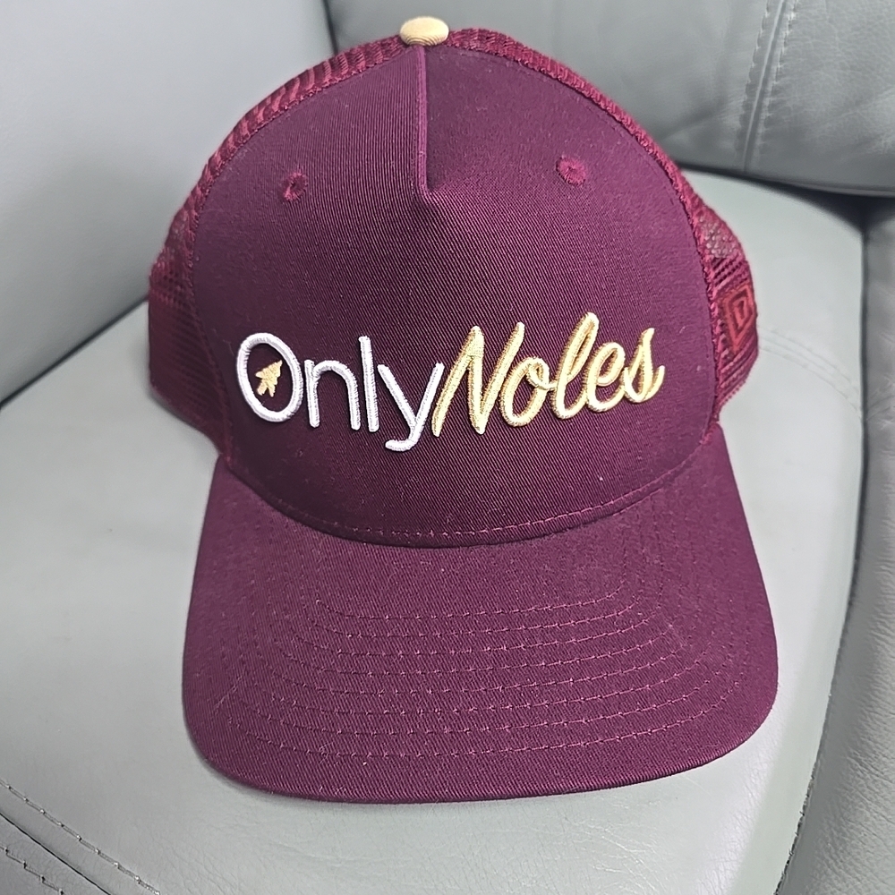 DTWD 2023 Limited Edition Only Noles FSU Florida State Seminoles Snapback Hat - Picture 2 of 5